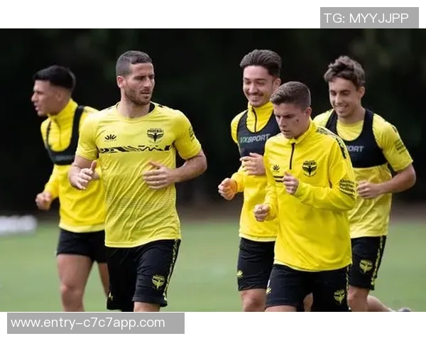 中央海岸与惠灵顿实力分析及对比探讨